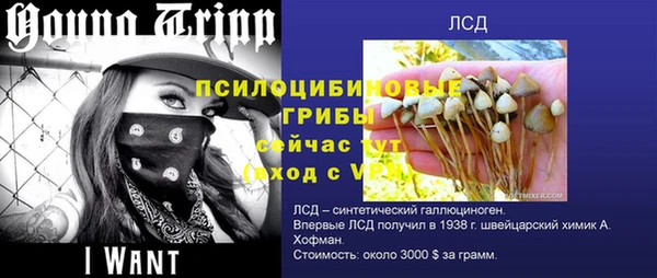 мяу мяу мука Нефтекумск