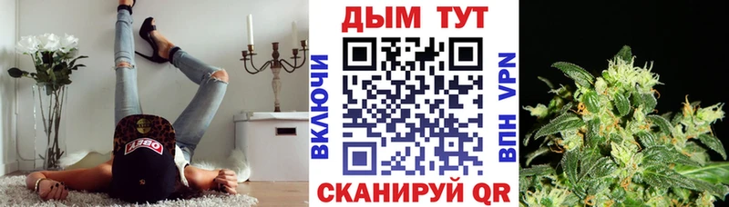 Бошки марихуана LSD WEED Сунжа